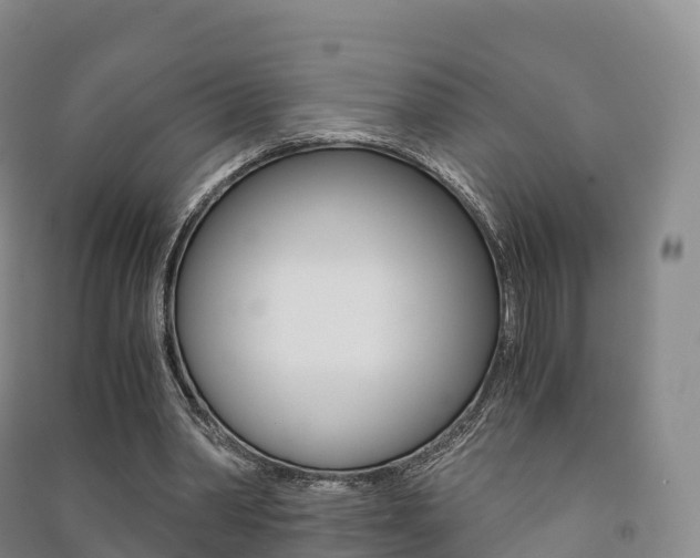 X0000091480390200708161152