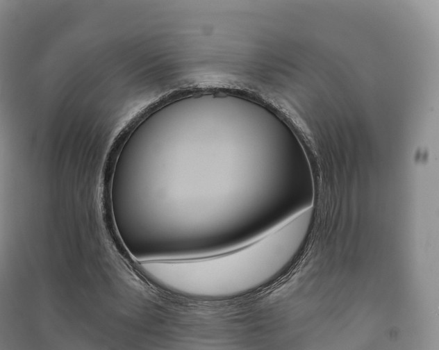 X0000091480391200708161152