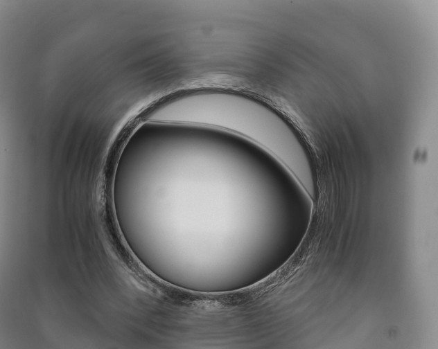 X0000091480392200708161152