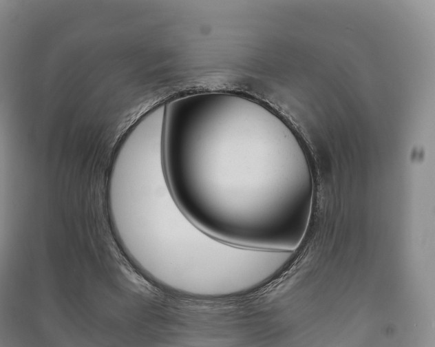 X0000091480393200708161152