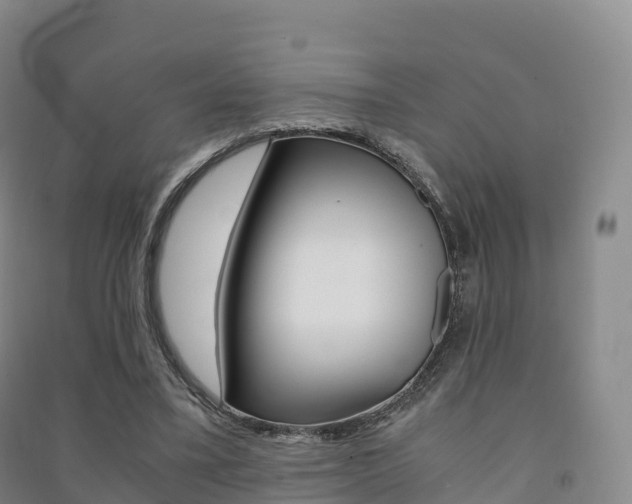 X0000091480395200708161152