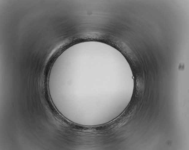 X0000091480396200708161152