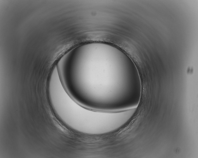 X0000091480397200708161152