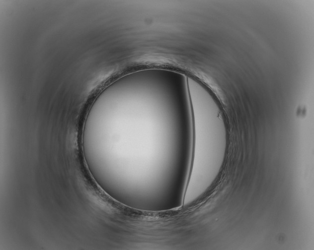 X0000091480399200708161152