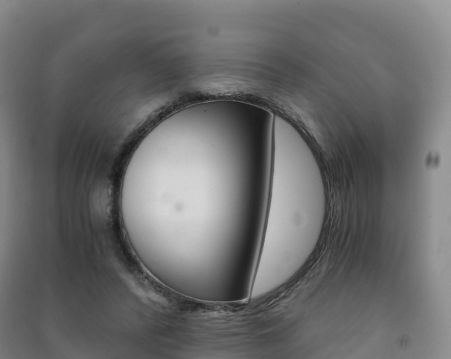 X0000091480400200708161152