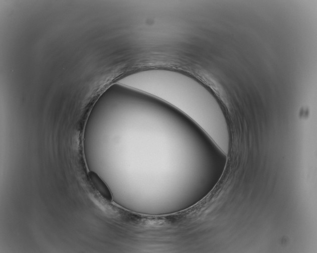 X0000091480401200708161152