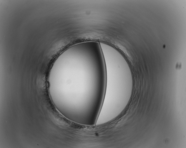 X0000091480403200708161152