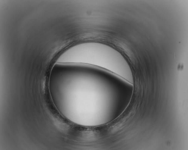 X0000091480404200708161152