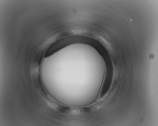 X0000091480405200708161152