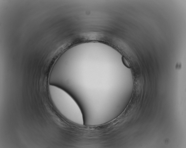X0000091480406200708161152