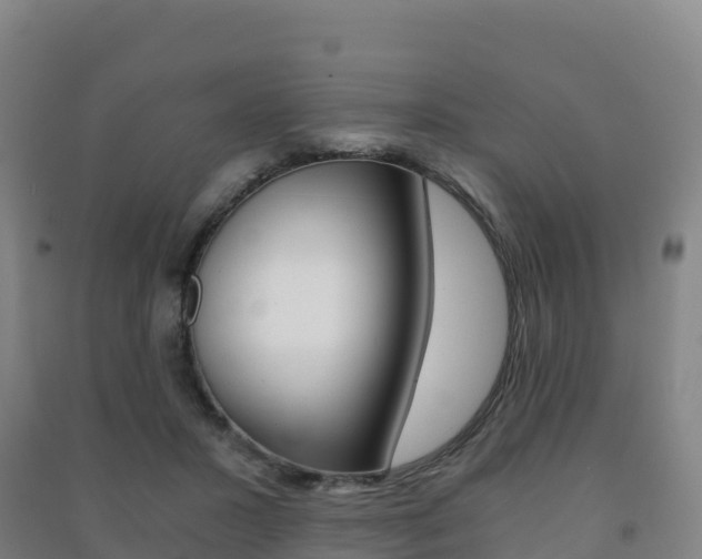 X0000091480407200708161152