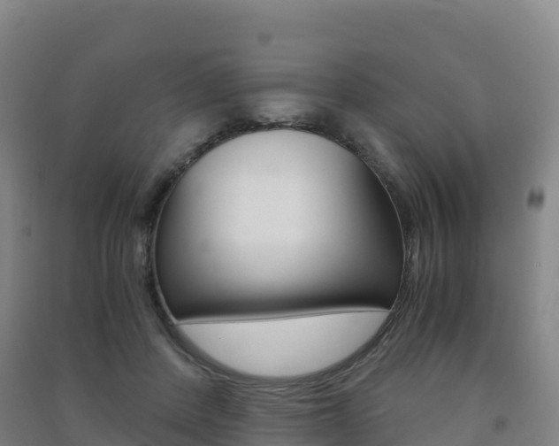 X0000091480408200708161152