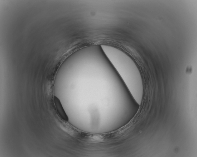 X0000091480409200708161152