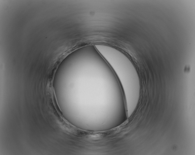 X0000091480411200708161152