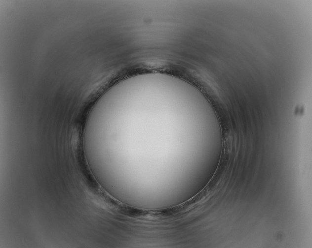 X0000091480412200708161152