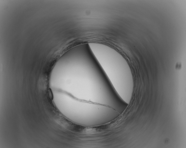 X0000091480413200708161152