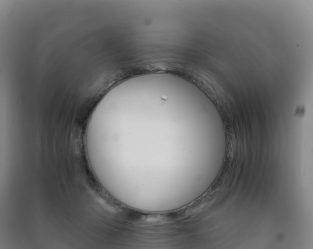 X0000091480414200708161152