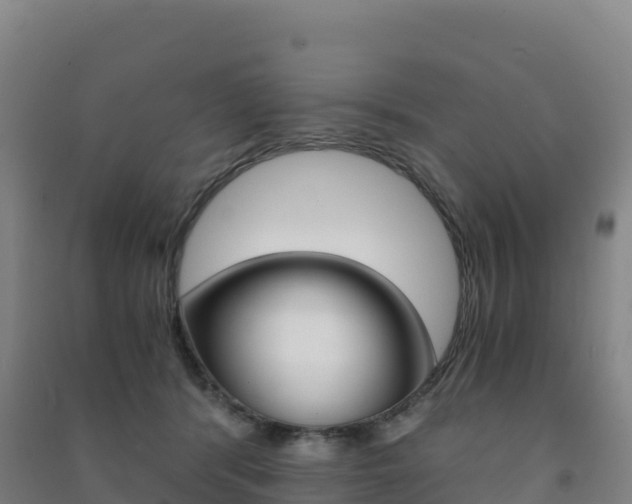 X0000091480416200708161152