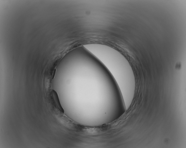 X0000091480417200708161152