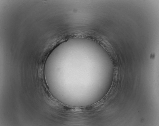 X0000091480419200708161152