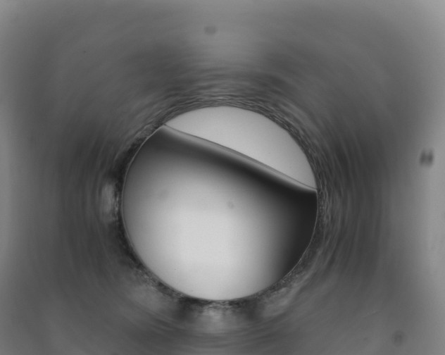 X0000091480420200708161152