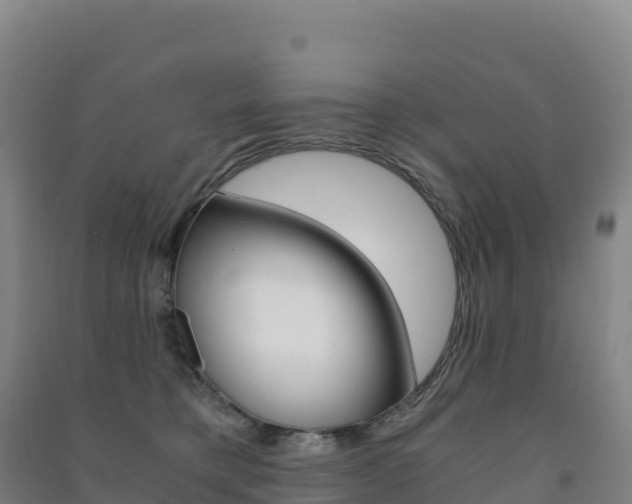 X0000091480421200708161152