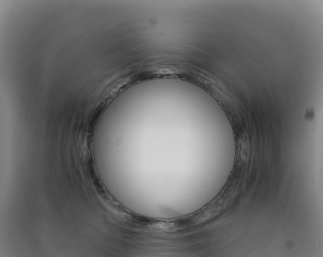 X0000091480422200708161152