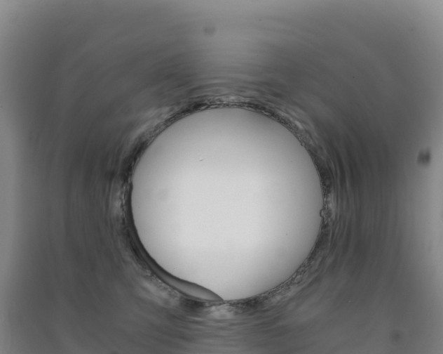 X0000091480423200708161152