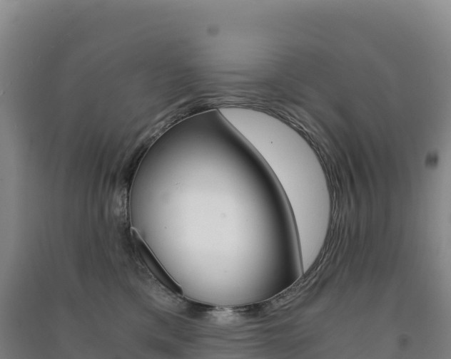 X0000091480425200708161152