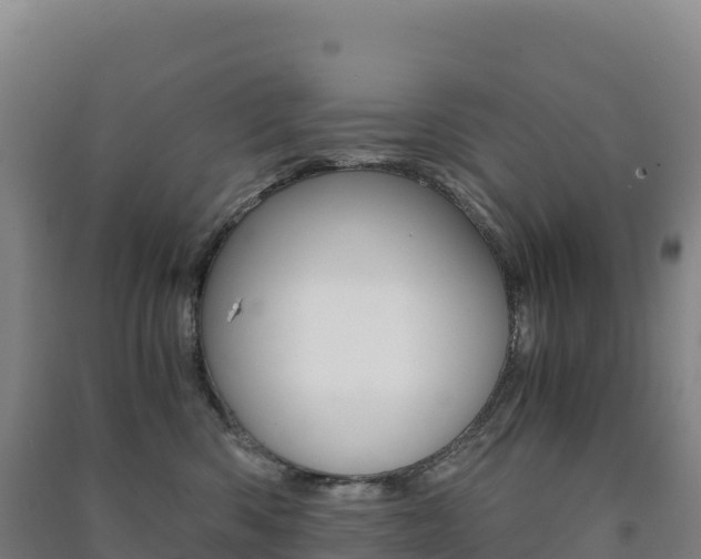 X0000091480426200708161152