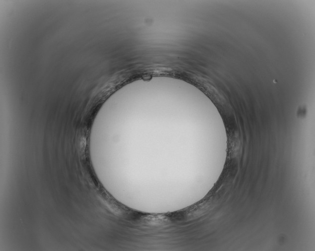 X0000091480427200708161152