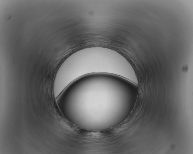 X0000091480428200708161152