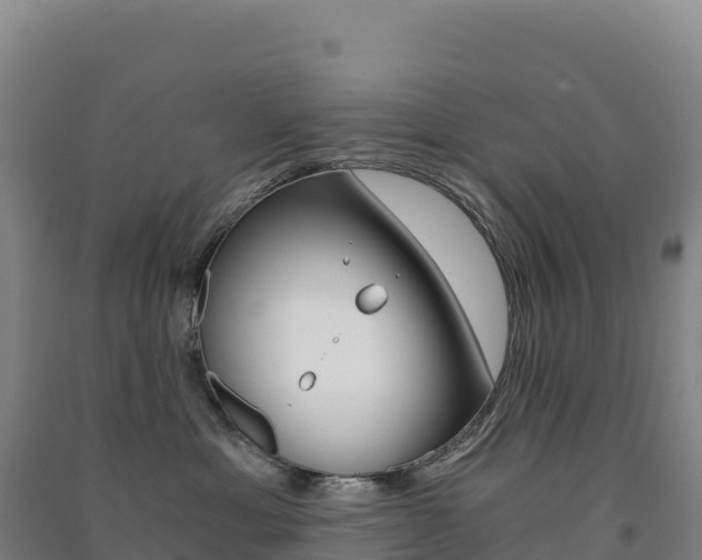 X0000091480429200708161152