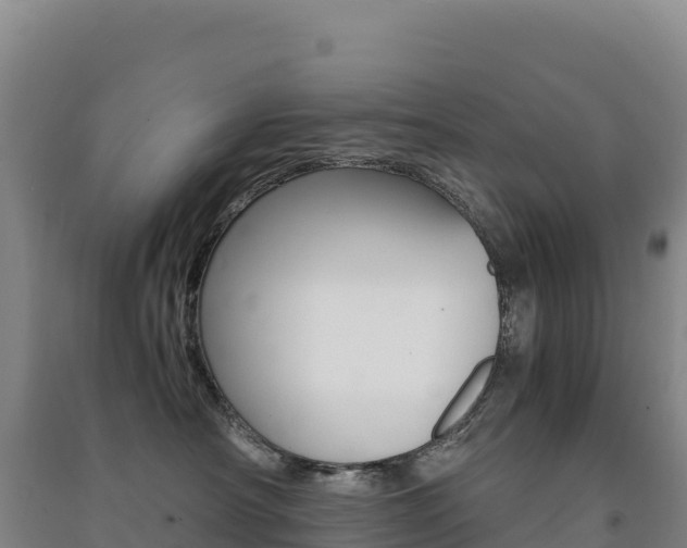 X0000091480430200708161152