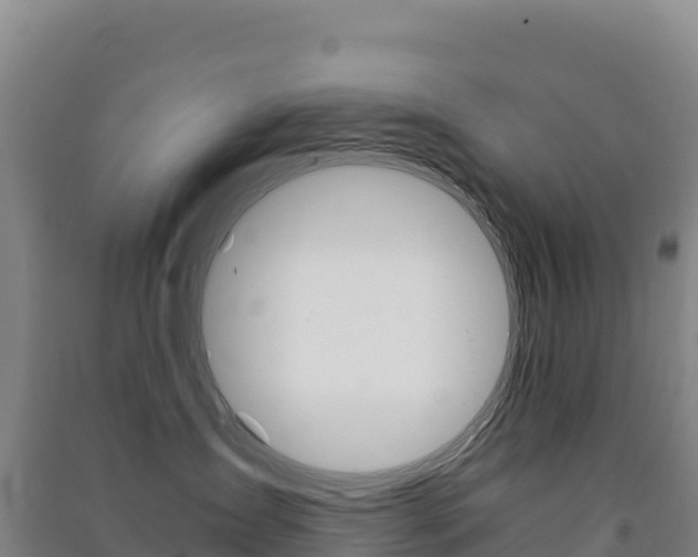 X0000091480431200708161152