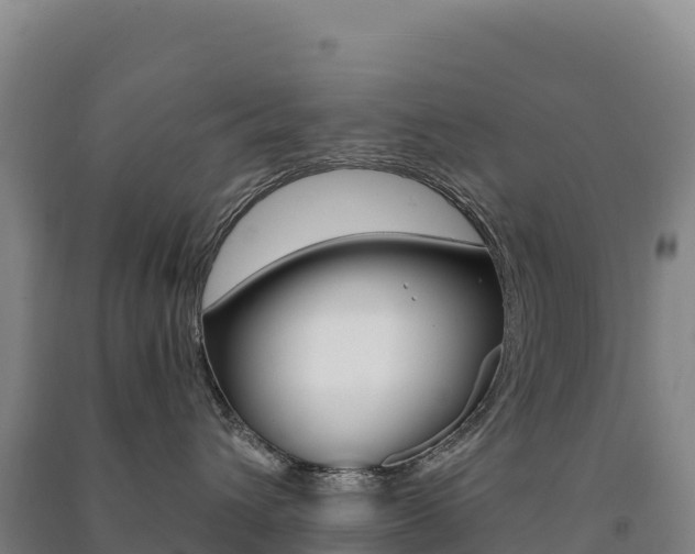 X0000091480432200708161152