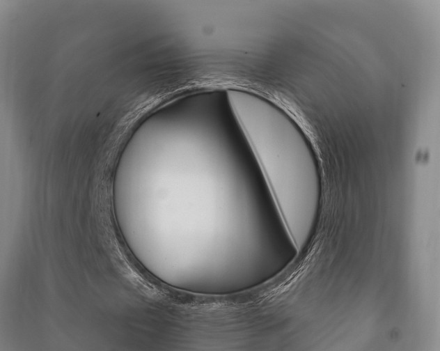 X0000091480433200708161151