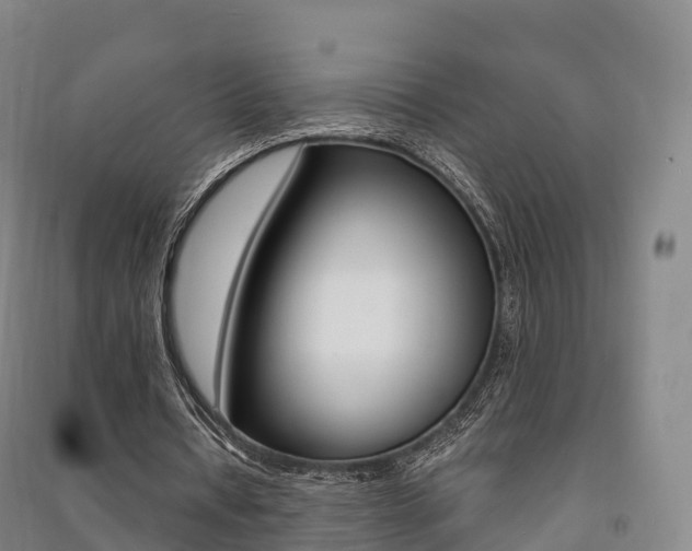 X0000091480434200708161151