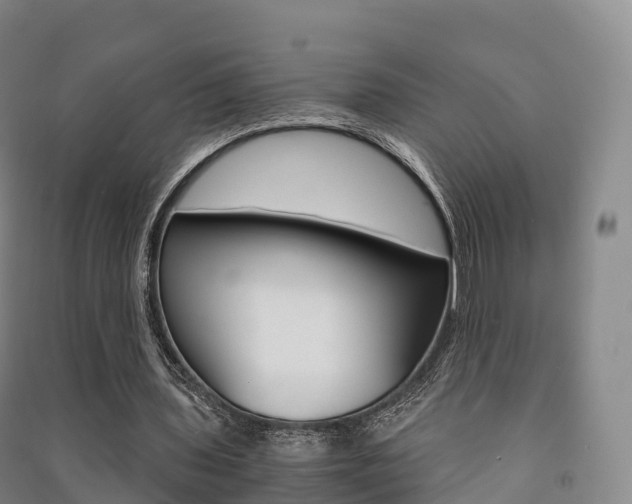 X0000091480435200708161151