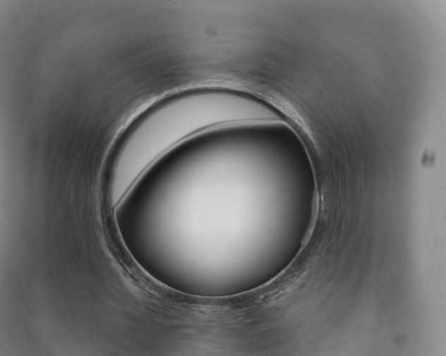 X0000091480436200708161151