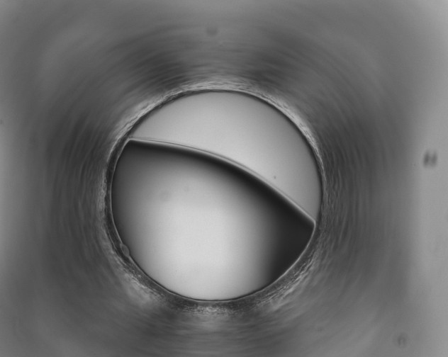 X0000091480437200708161151