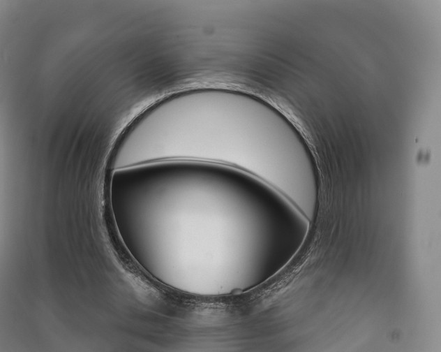 X0000091480438200708161151