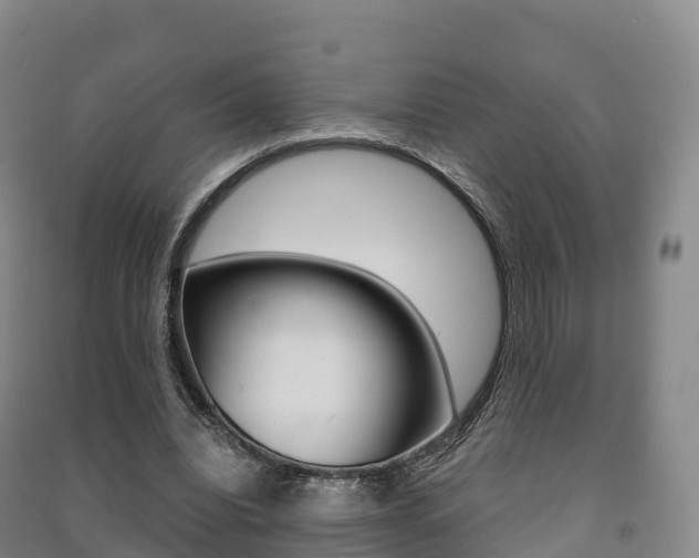 X0000091480440200708161151