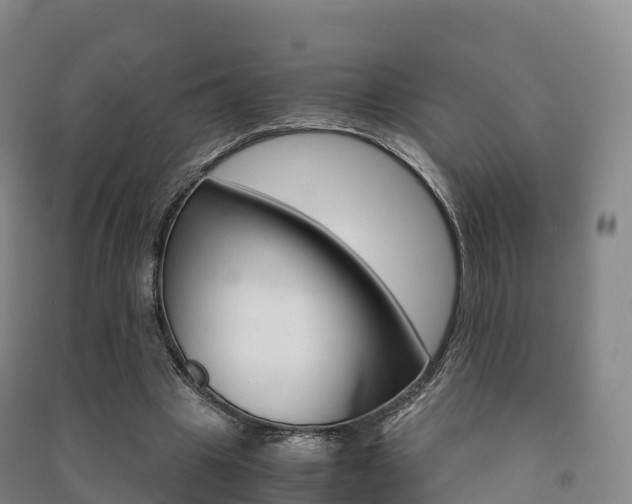 X0000091480441200708161151