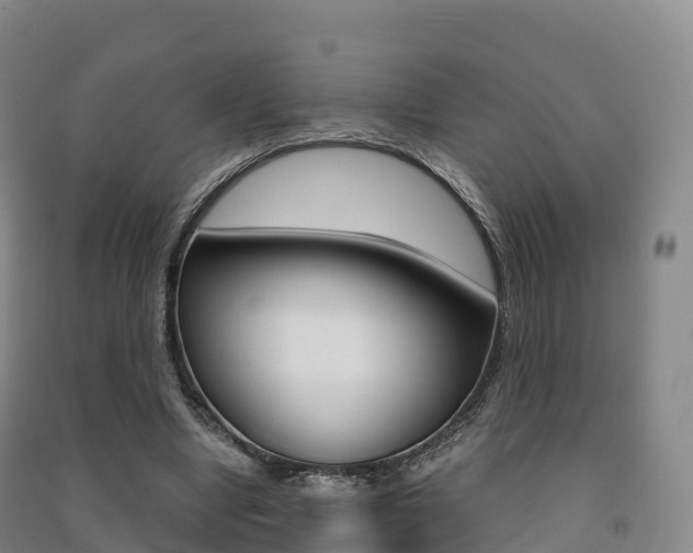 X0000091480442200708161151