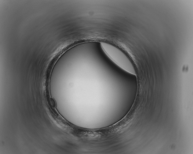X0000091480443200708161151