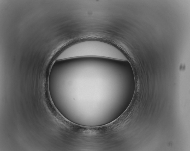 X0000091480444200708161151