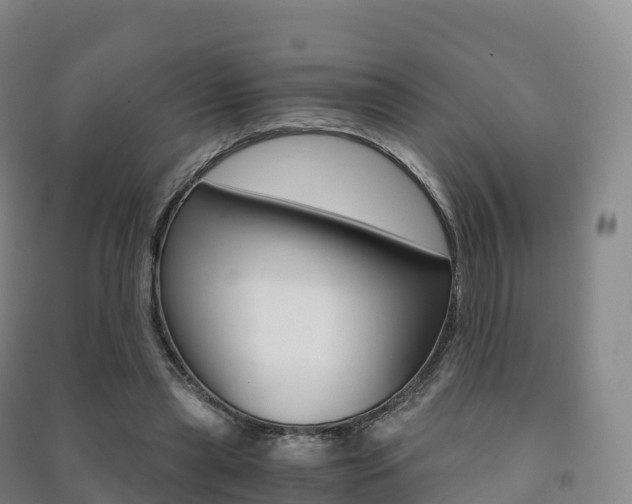 X0000091480445200708161151