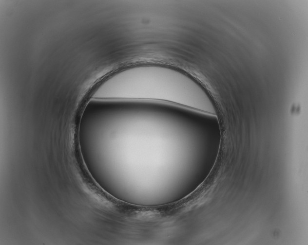 X0000091480446200708161151