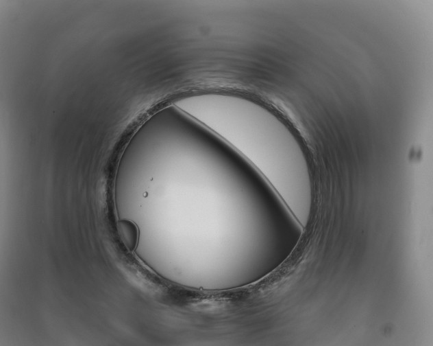 X0000091480447200708161151